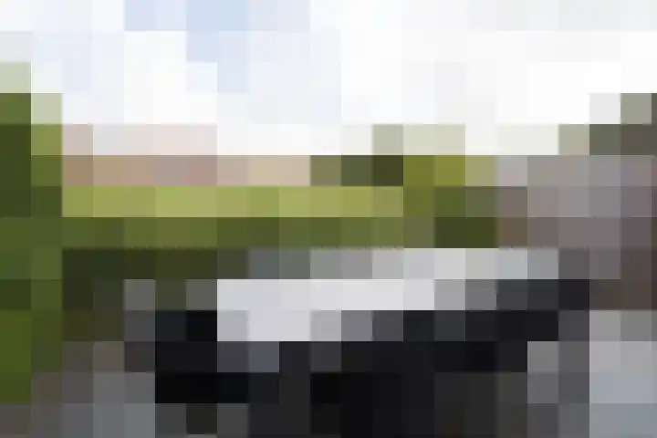 Prof. Ritzema Boslaan 10 Utrecht thumbnail 20