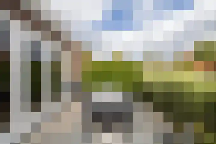 Prof. Ritzema Boslaan 10 Utrecht thumbnail 22