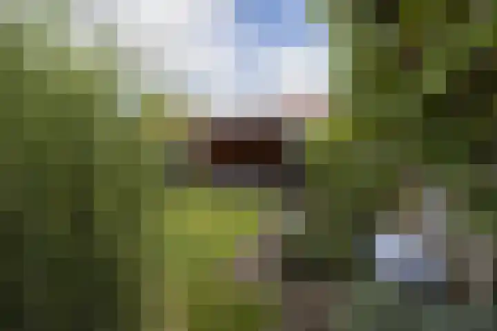 Prof. Ritzema Boslaan 10 Utrecht thumbnail 23