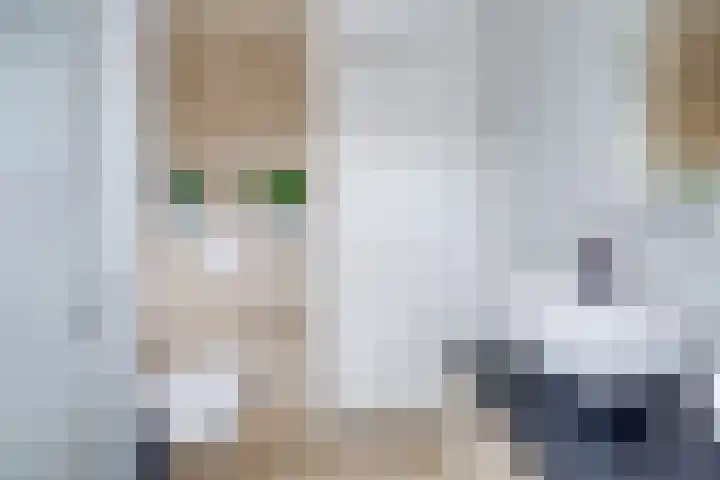 Prof. Ritzema Boslaan 10 Utrecht thumbnail 35