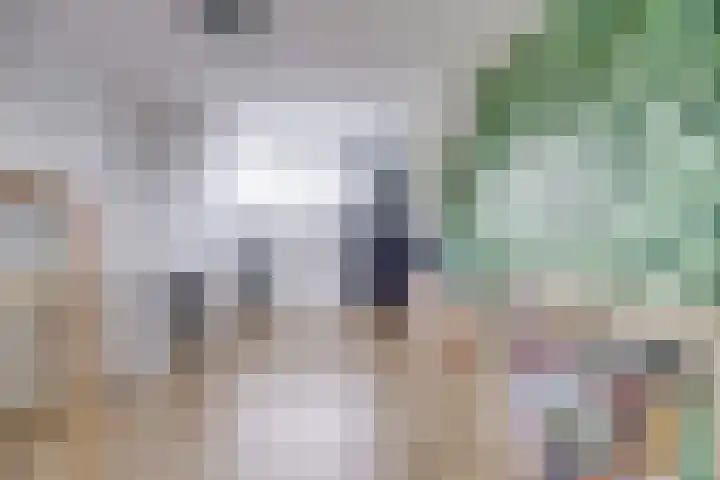 Prof. Ritzema Boslaan 10 Utrecht thumbnail 39