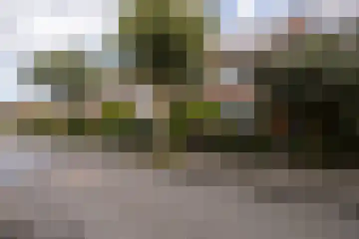 Prof. Ritzema Boslaan 10 Utrecht thumbnail 4