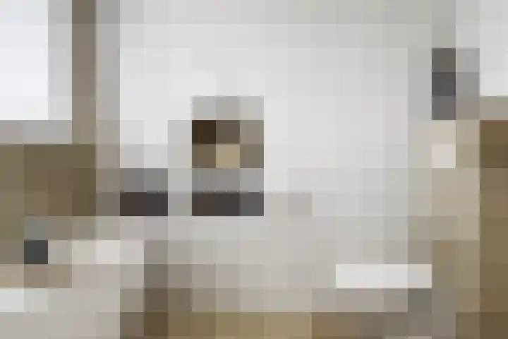 Prof. Ritzema Boslaan 10 Utrecht thumbnail 42