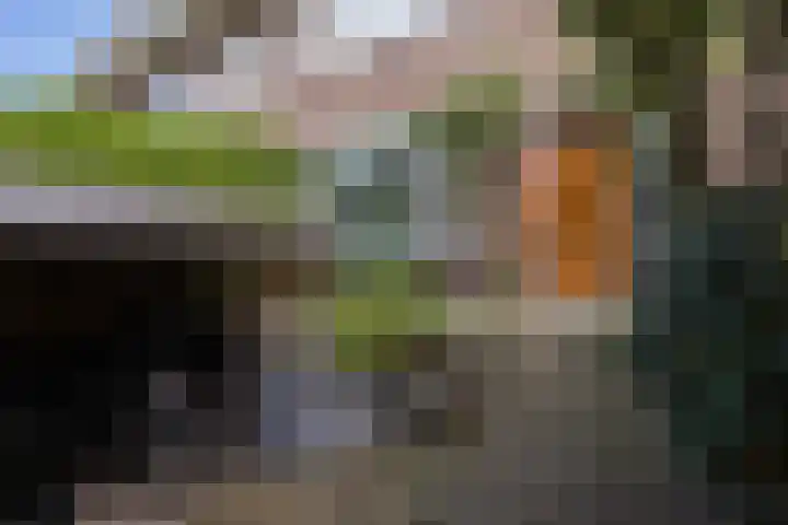 Prof. Ritzema Boslaan 10 Utrecht thumbnail 5