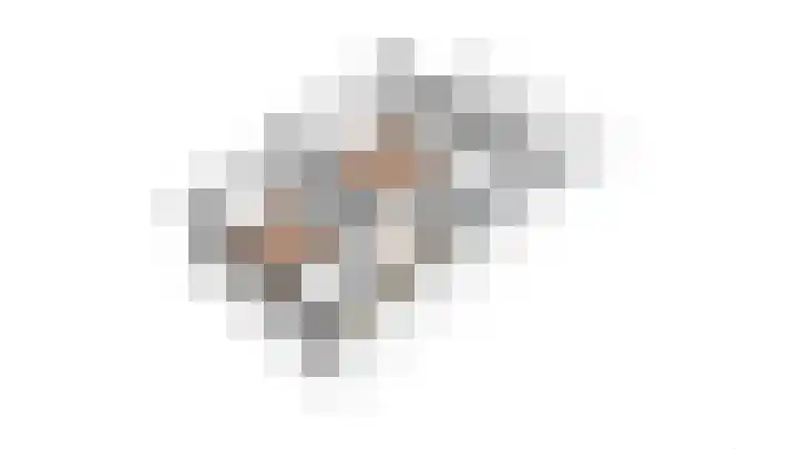 Prof. Ritzema Boslaan 10 Utrecht thumbnail 52