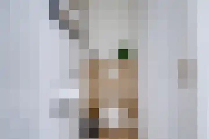 Prof. Ritzema Boslaan 10 Utrecht thumbnail 7