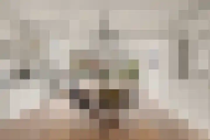 Prof. Ritzema Boslaan 111 Utrecht thumbnail 13