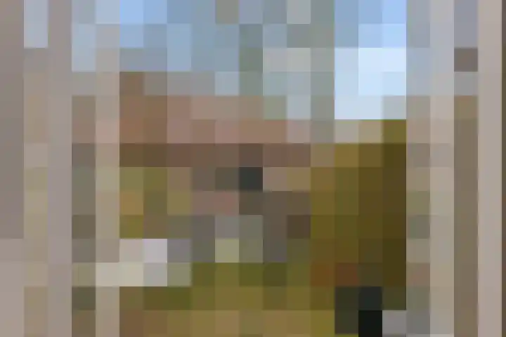 Prof. Ritzema Boslaan 111 Utrecht thumbnail 22