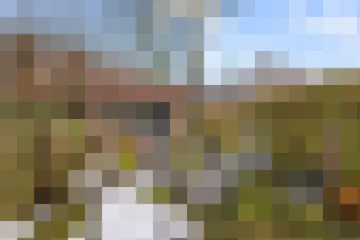 Prof. Ritzema Boslaan 111 Utrecht thumbnail 23