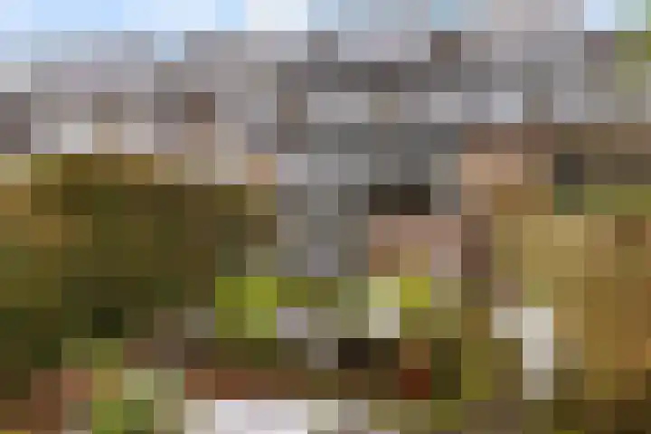 Prof. Ritzema Boslaan 111 Utrecht thumbnail 25