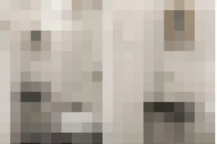 Prof. Ritzema Boslaan 111 Utrecht thumbnail 27