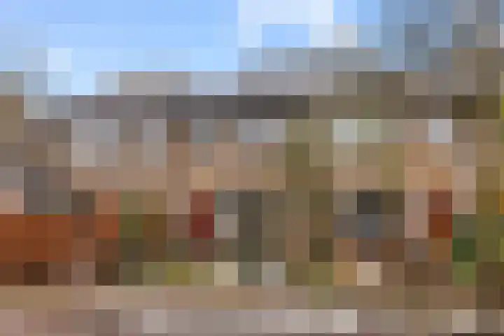 Prof. Ritzema Boslaan 111 Utrecht thumbnail 51