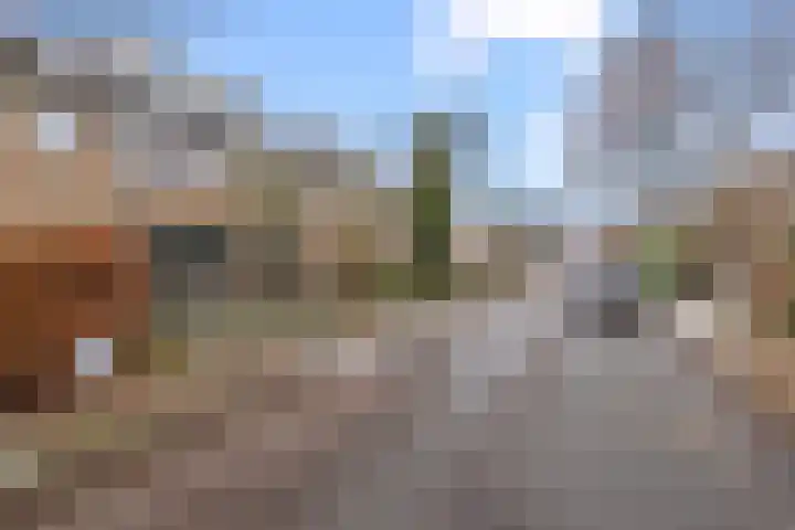 Prof. Ritzema Boslaan 111 Utrecht thumbnail 52