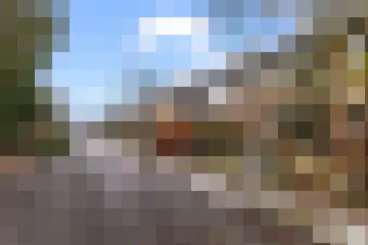 Prof. Ritzema Boslaan 111 Utrecht thumbnail 53