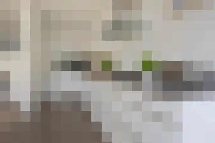 Prof. Ritzema Boslaan 41 Utrecht thumbnail 10