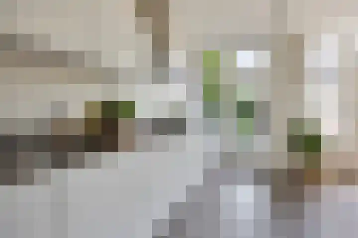 Prof. Ritzema Boslaan 41 Utrecht thumbnail 11