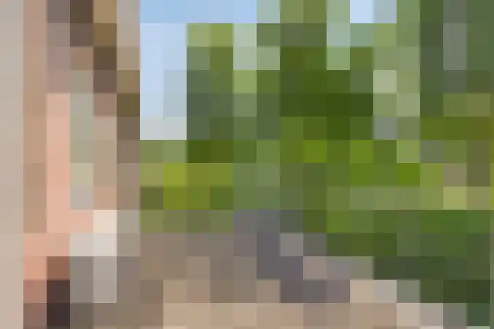 Prof. Ritzema Boslaan 41 Utrecht thumbnail 27
