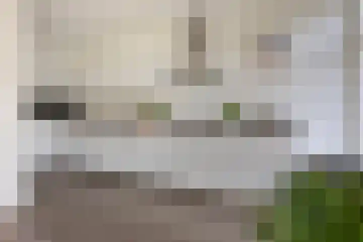 Prof. Ritzema Boslaan 41 Utrecht thumbnail 4