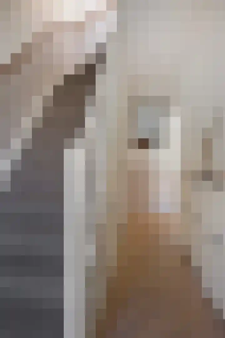 Prof. Ritzema Boslaan 41 Utrecht thumbnail 6