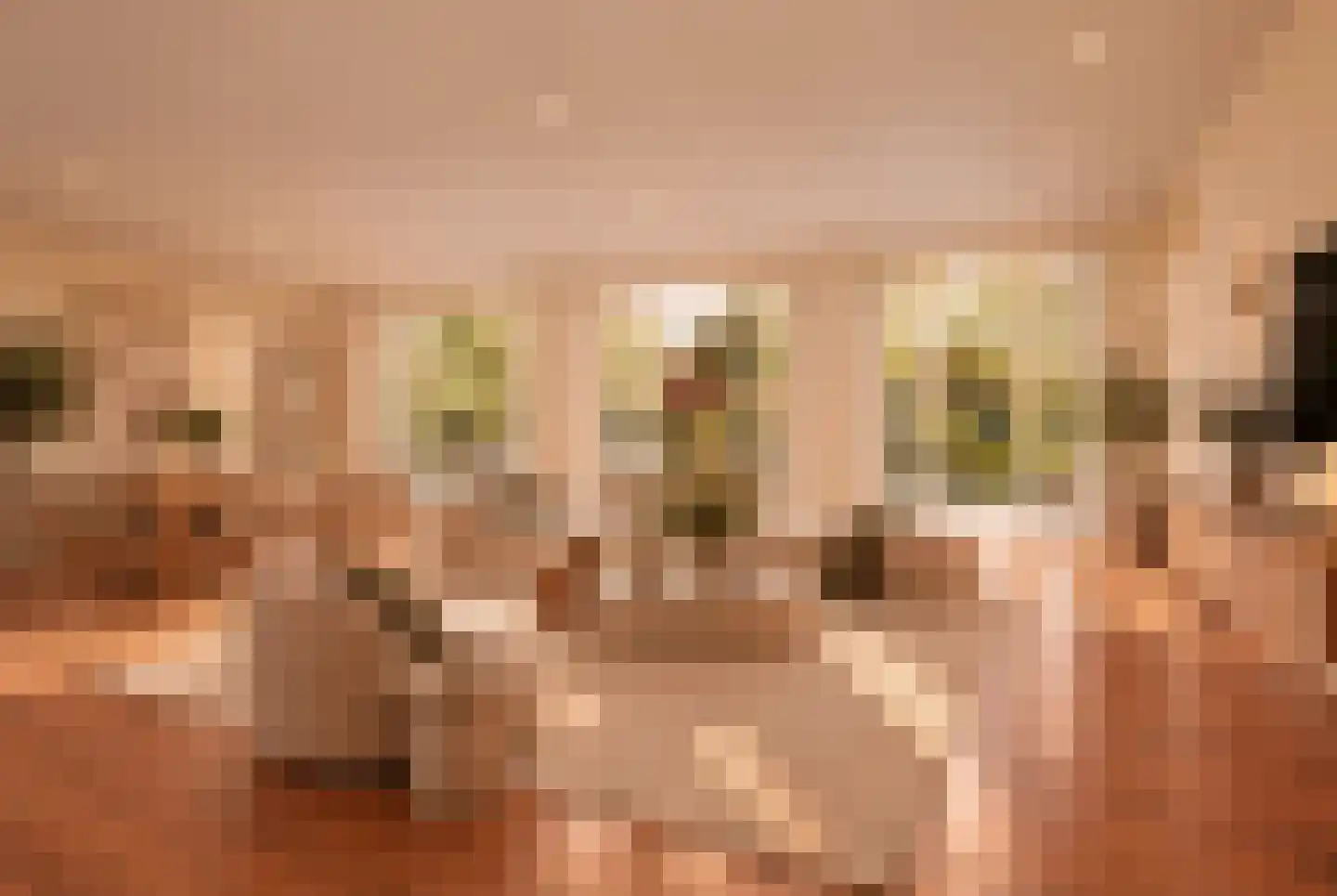 Prof. Ritzema Boslaan 84 Utrecht thumbnail 11