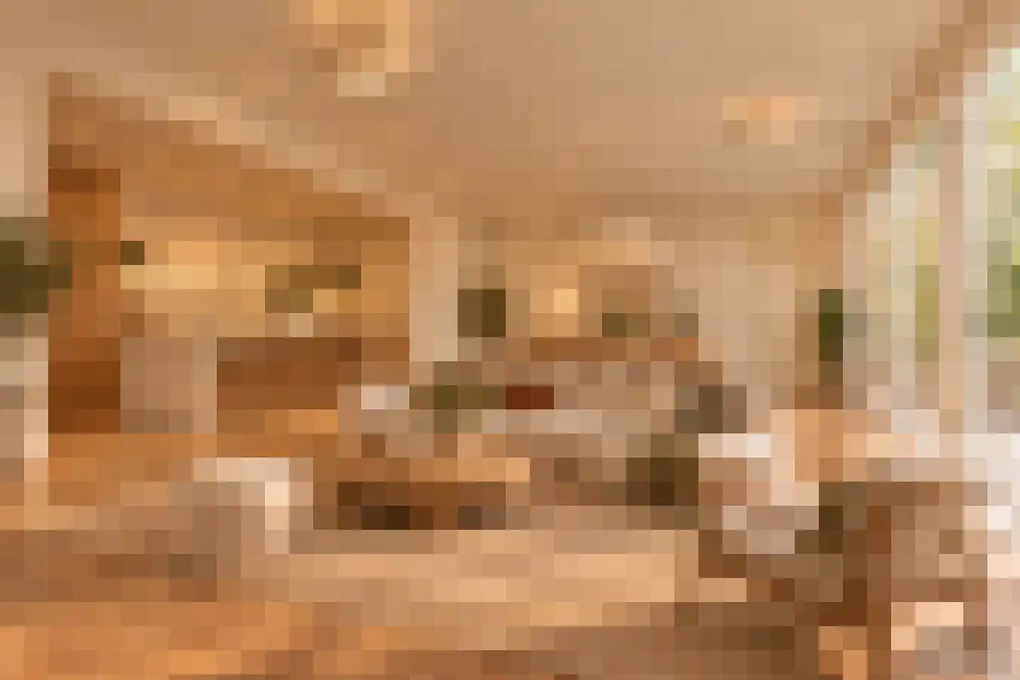 Prof. Ritzema Boslaan 84 Utrecht thumbnail 12