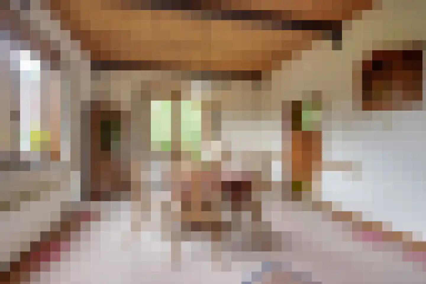 Prof. Ritzema Boslaan 84 Utrecht thumbnail 21