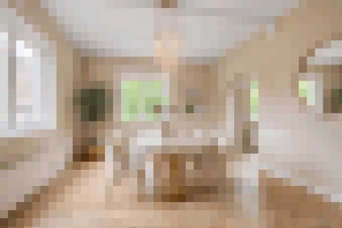 Prof. Ritzema Boslaan 84 Utrecht thumbnail 22