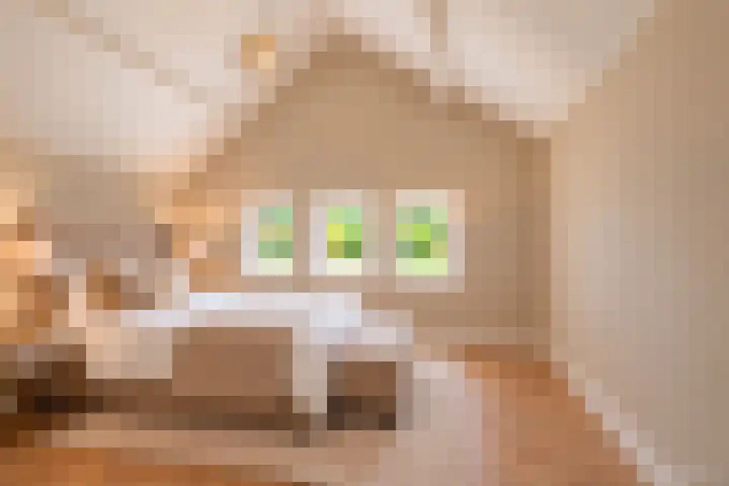 Prof. Ritzema Boslaan 84 Utrecht thumbnail 28