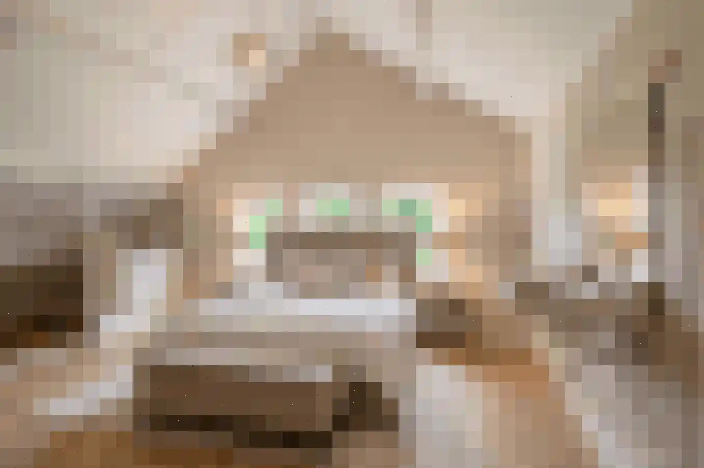 Prof. Ritzema Boslaan 84 Utrecht thumbnail 34
