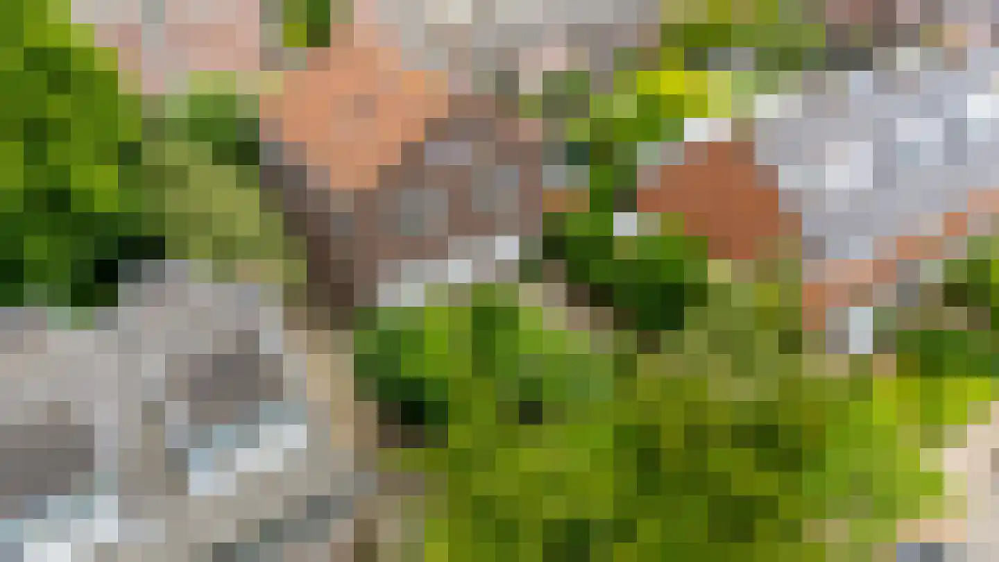 Prof. Ritzema Boslaan 84 Utrecht thumbnail 37