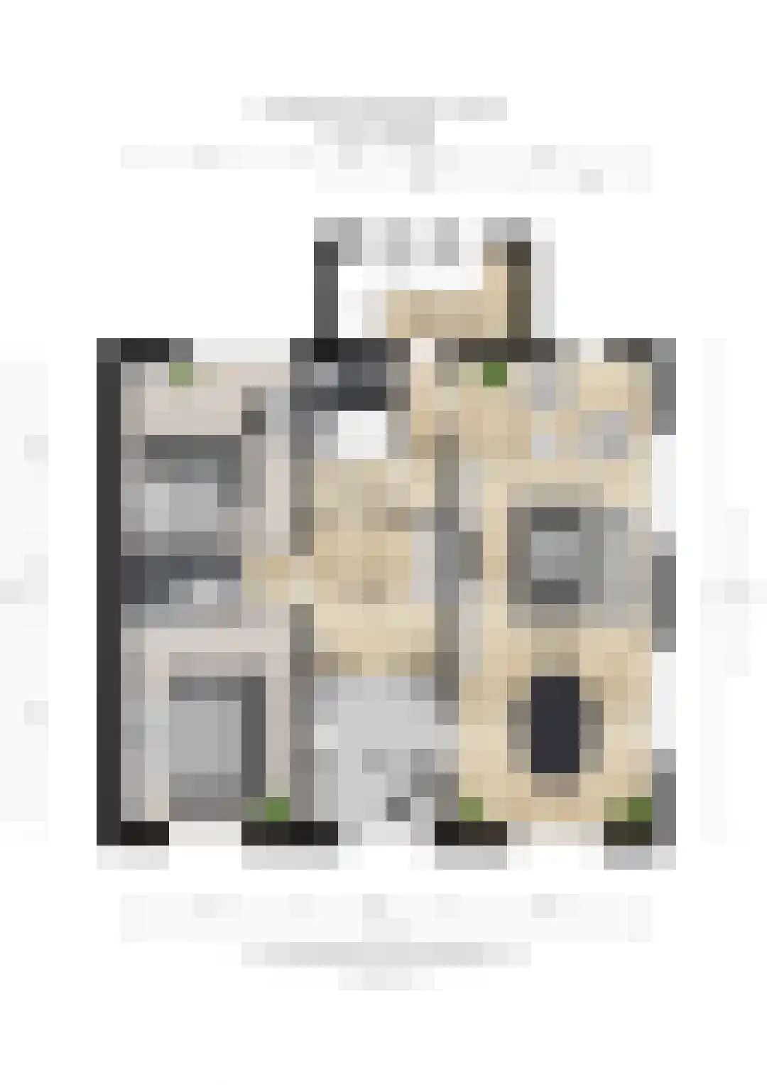 Prof. Ritzema Boslaan 84 Utrecht thumbnail 37