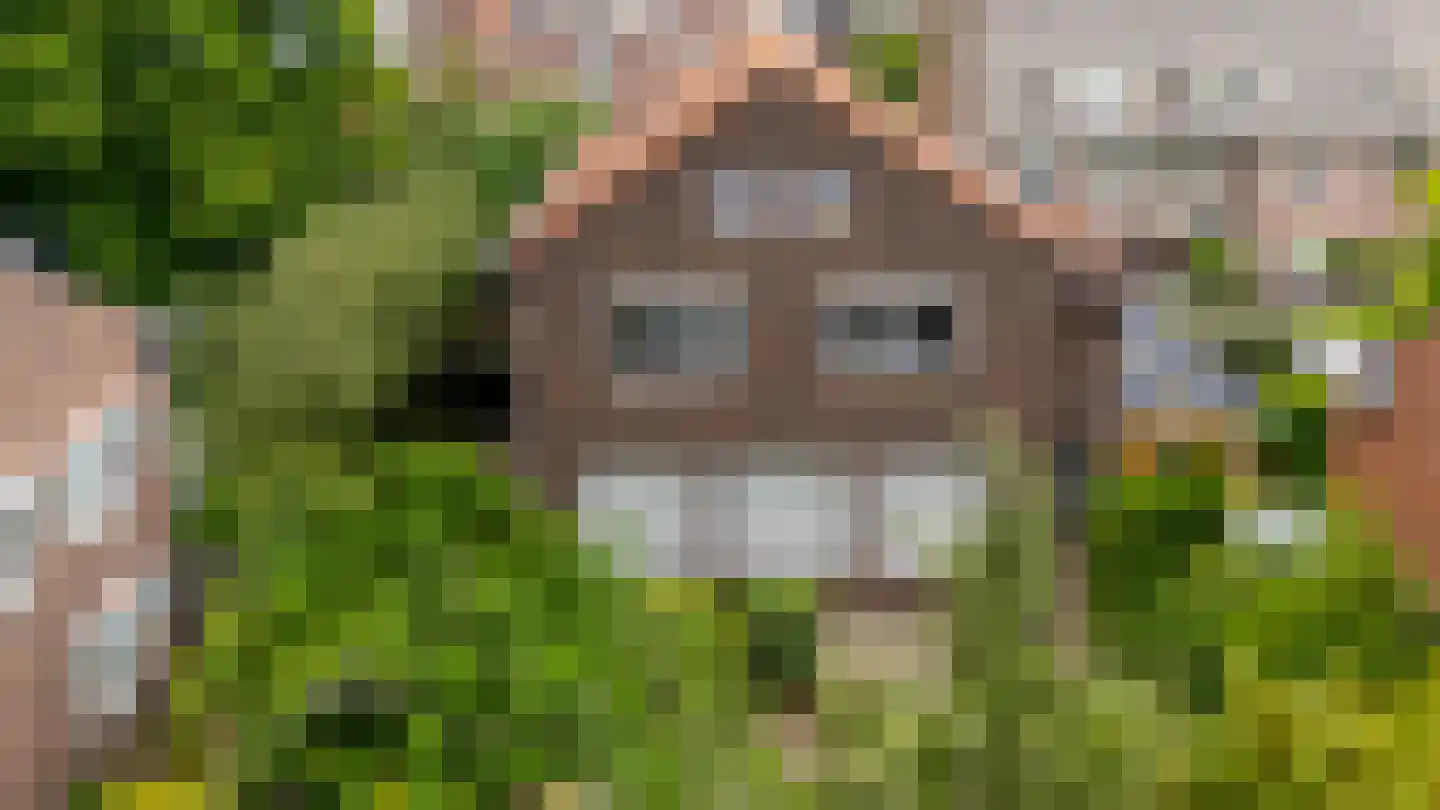 Prof. Ritzema Boslaan 84 Utrecht thumbnail 4