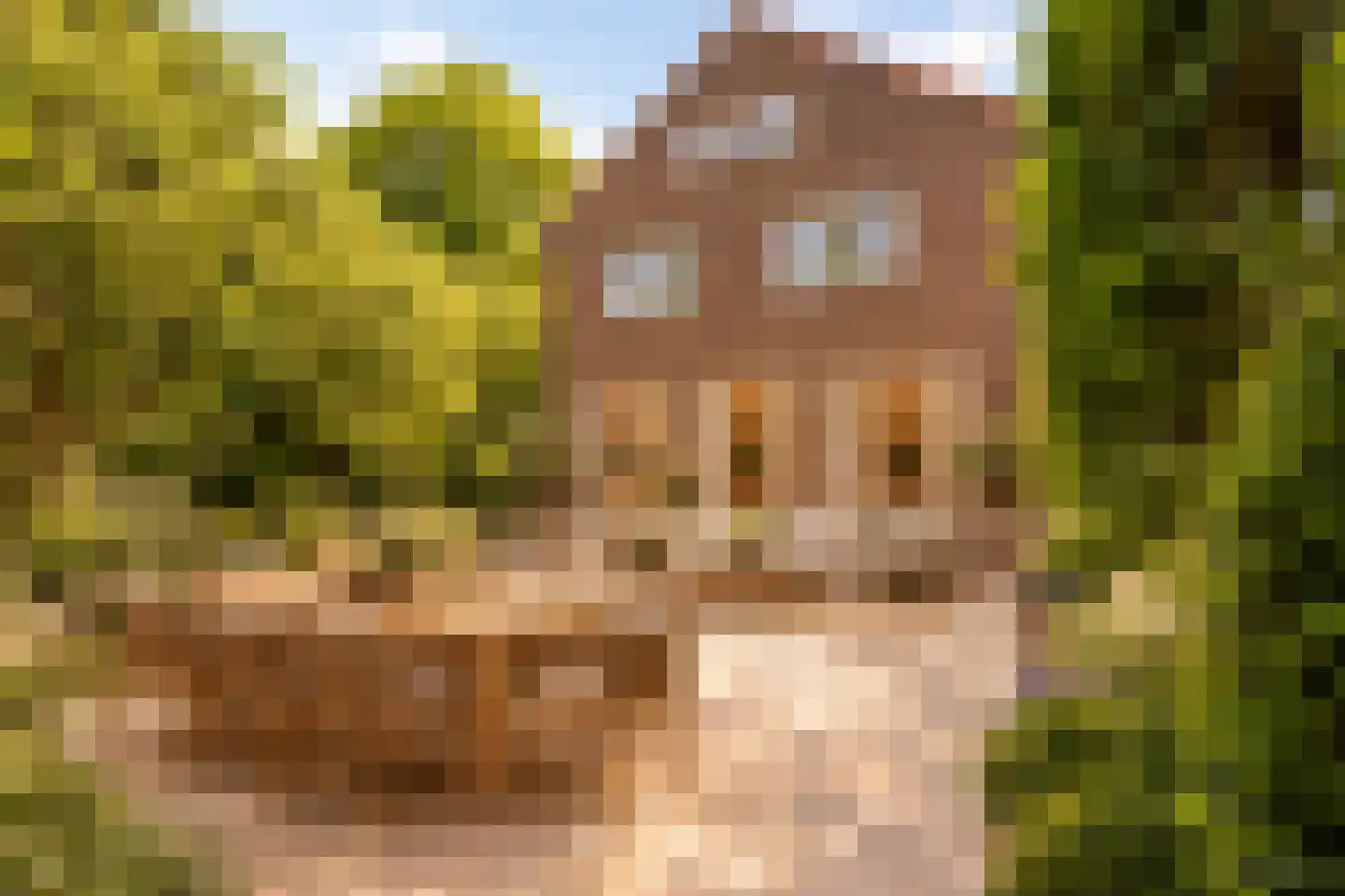 Prof. Ritzema Boslaan 84 Utrecht thumbnail 4