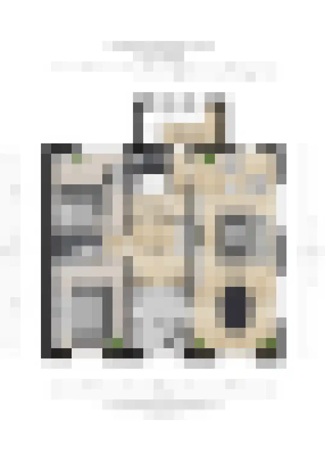 Prof. Ritzema Boslaan 84 Utrecht thumbnail 43
