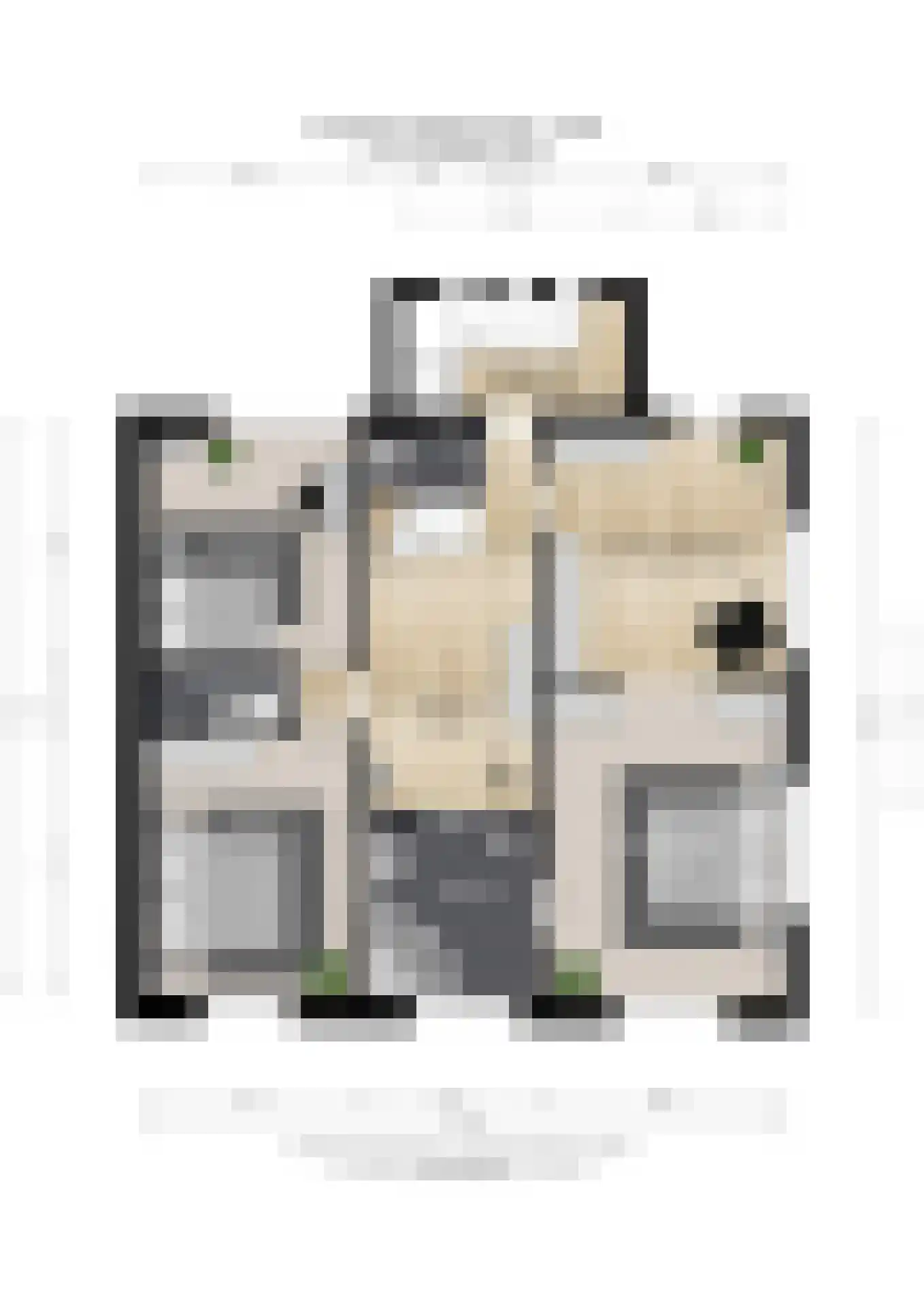 Prof. Ritzema Boslaan 84 Utrecht thumbnail 44