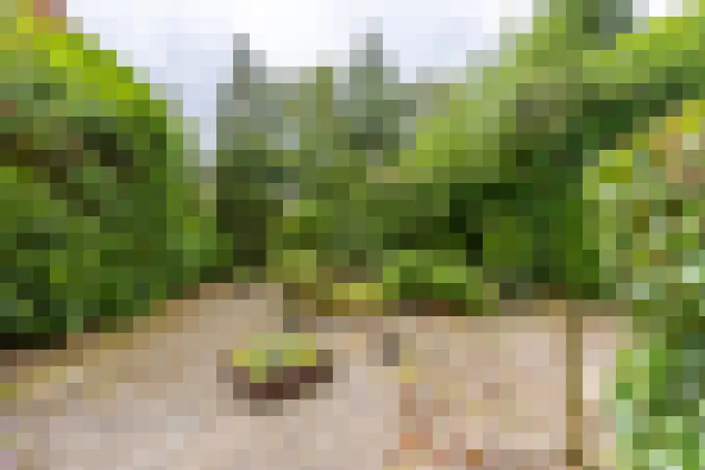 Prof. Ritzema Boslaan 84 Utrecht thumbnail 5