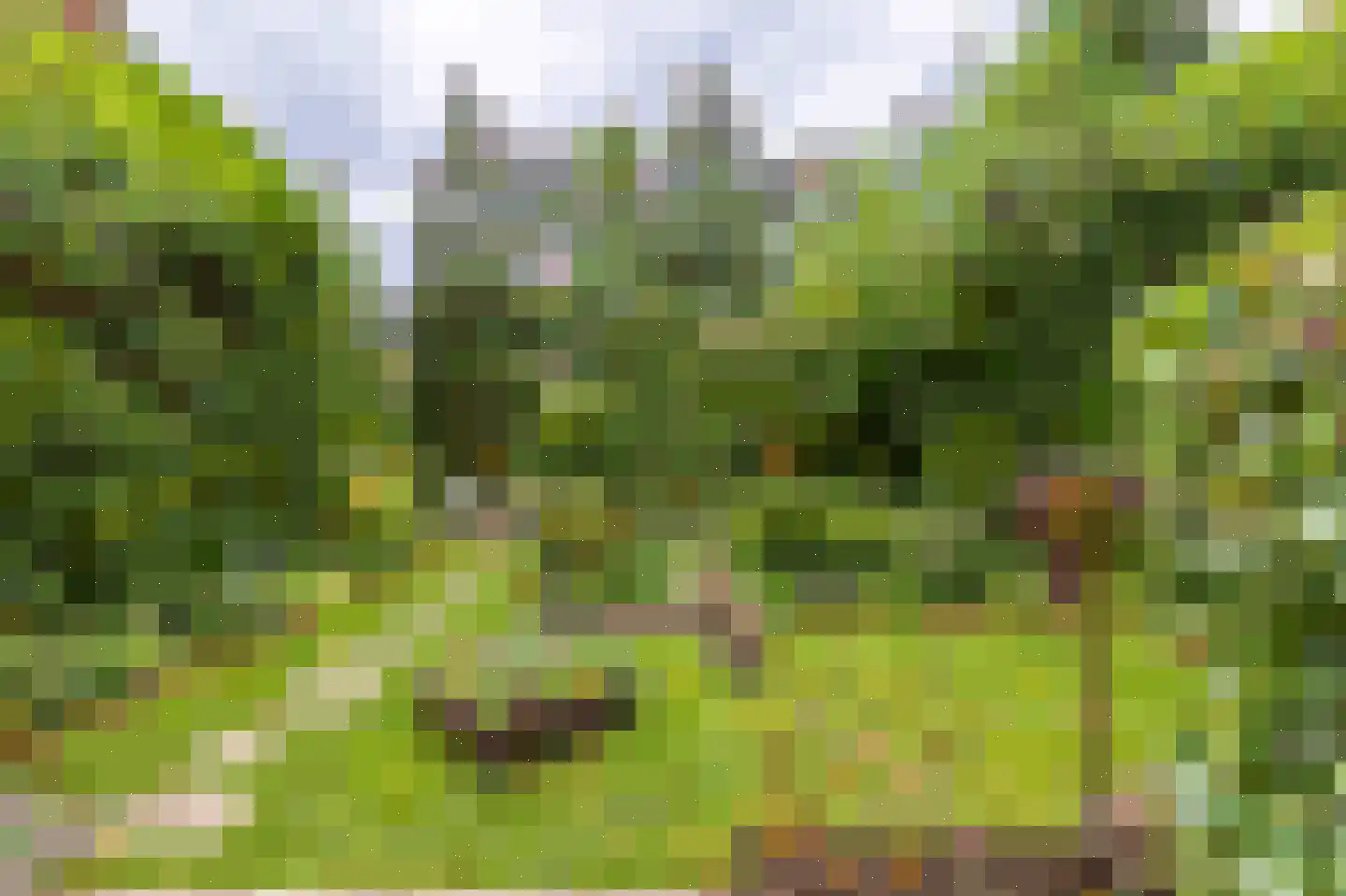 Prof. Ritzema Boslaan 84 Utrecht thumbnail 6
