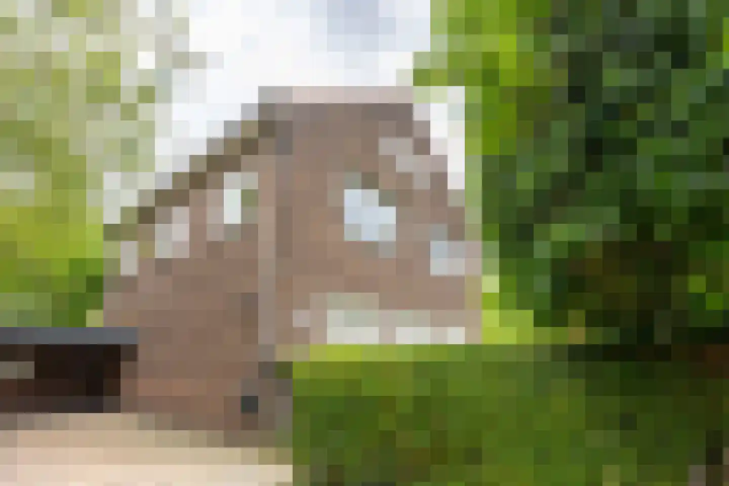 Prof. Ritzema Boslaan 84 Utrecht thumbnail 8