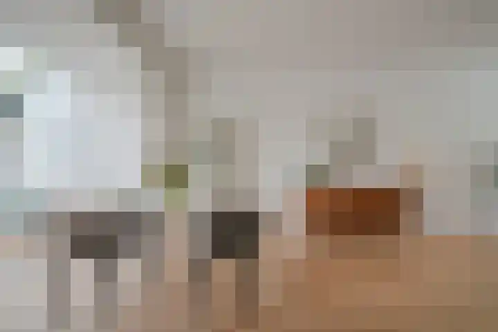 Prof. Ritzema Boslaan 99 Utrecht thumbnail 11