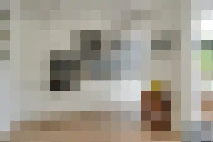 Prof. Ritzema Boslaan 99 Utrecht thumbnail 12