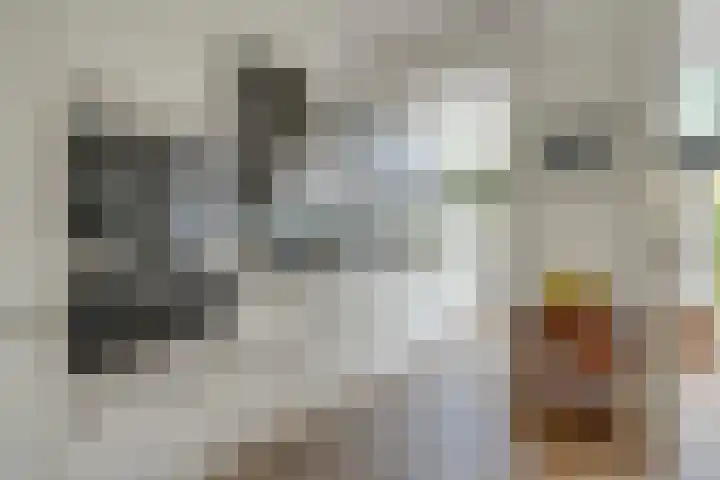 Prof. Ritzema Boslaan 99 Utrecht thumbnail 13