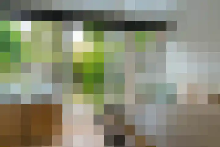 Prof. Ritzema Boslaan 99 Utrecht thumbnail 15