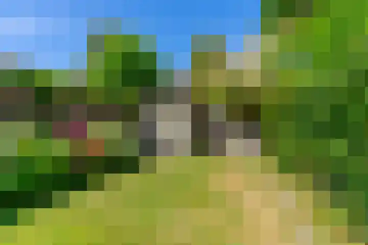 Prof. Ritzema Boslaan 99 Utrecht thumbnail 19