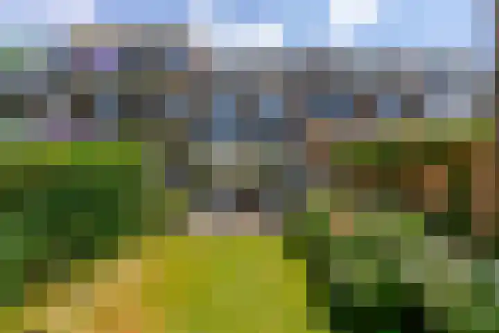 Prof. Ritzema Boslaan 99 Utrecht thumbnail 21