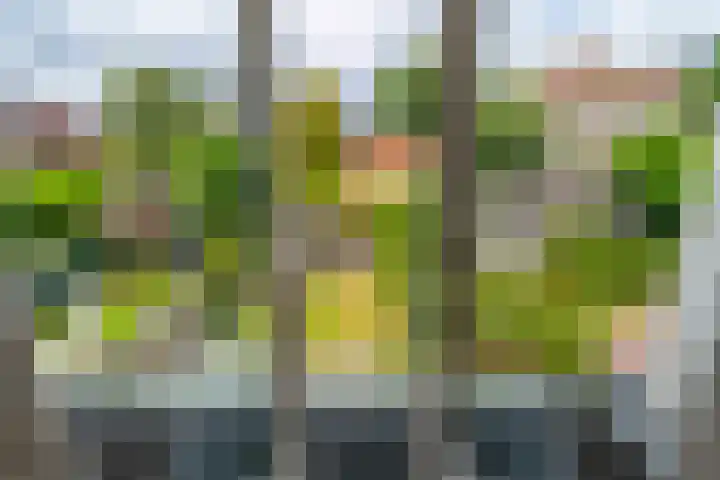 Prof. Ritzema Boslaan 99 Utrecht thumbnail 27