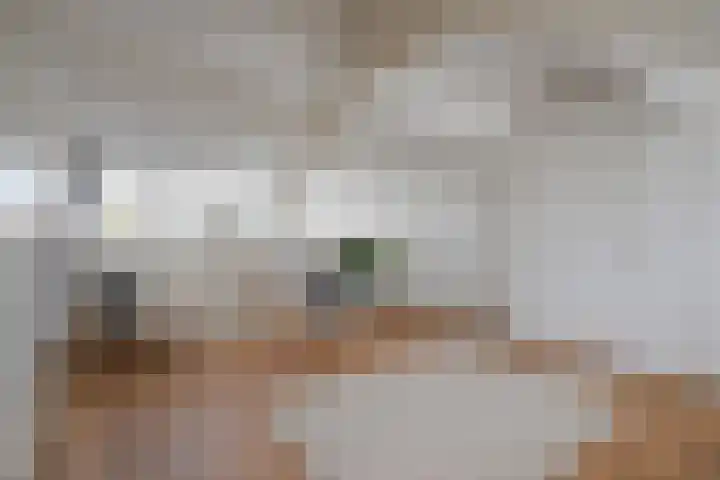Prof. Ritzema Boslaan 99 Utrecht thumbnail 33