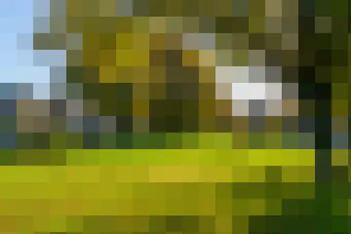 Prof. Ritzema Boslaan 99 Utrecht thumbnail 40