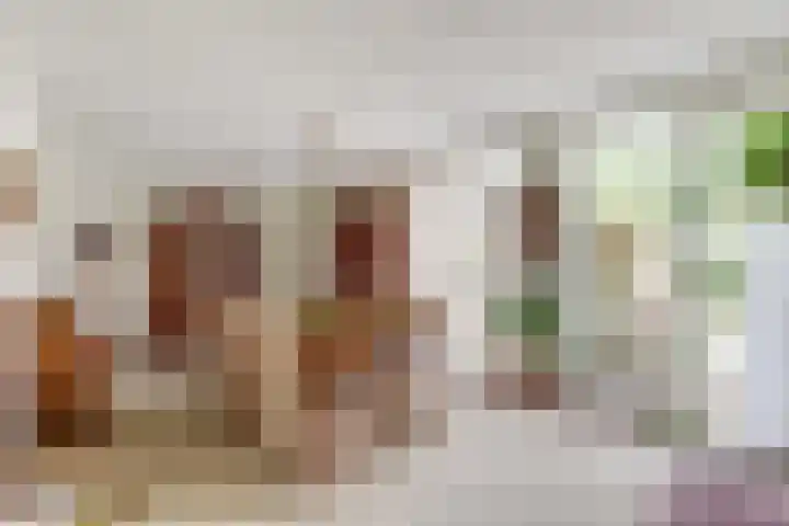 Prof. Rommehoek 20 Oosterhout thumbnail 10