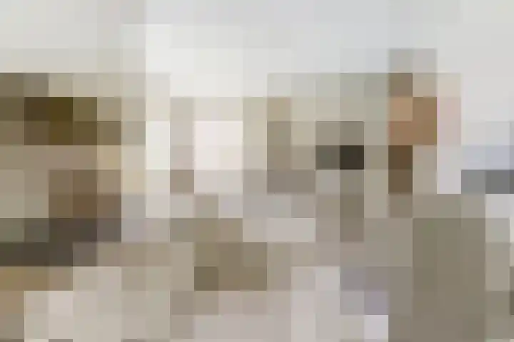 Prof. Rommehoek 20 Oosterhout thumbnail 11