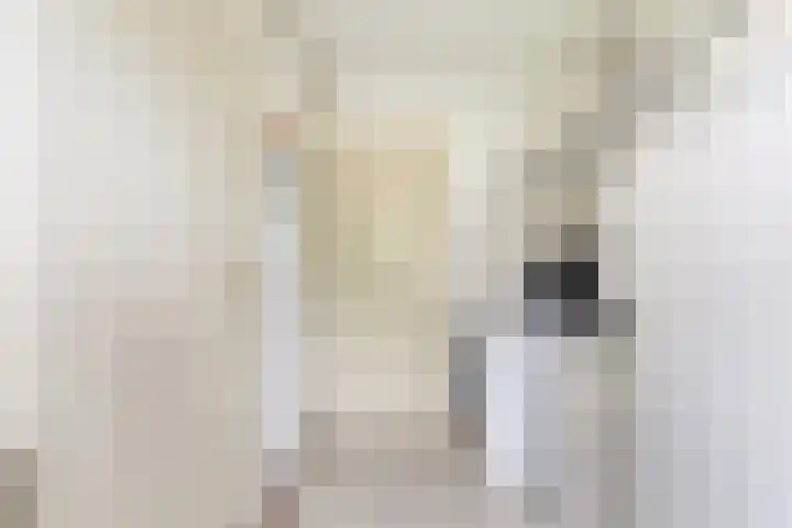 Prof. Rommehoek 20 Oosterhout thumbnail 12